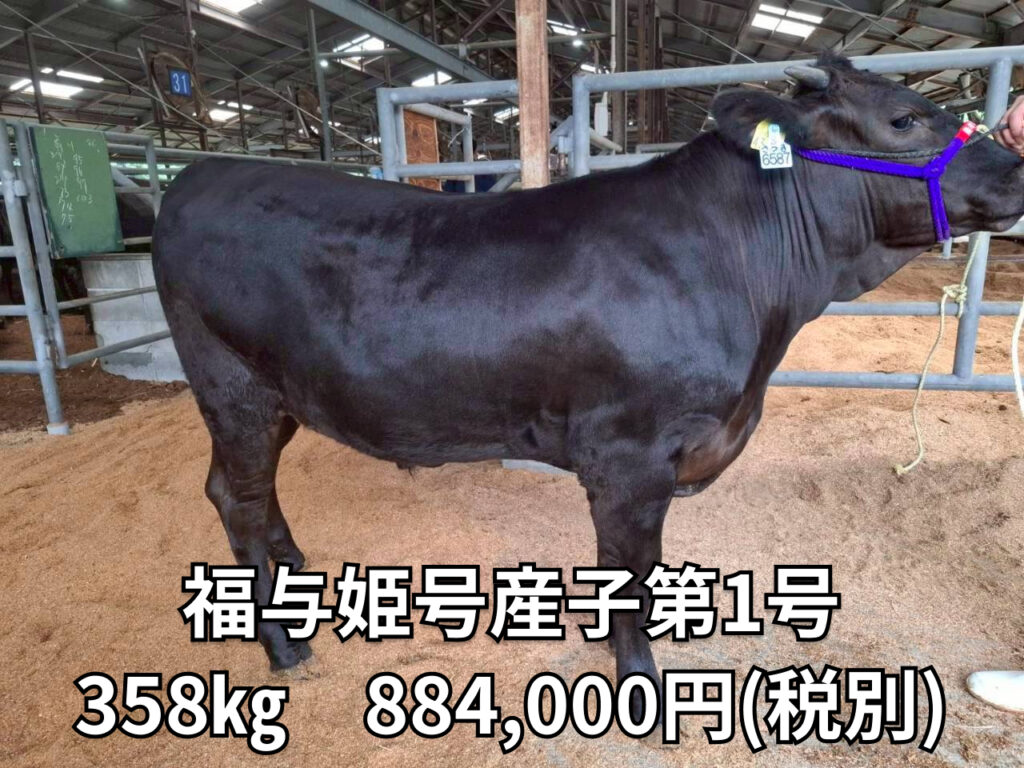 福与姫号産子第1号